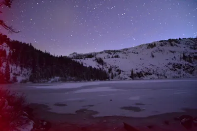 DSC_5977 (Large).JPG